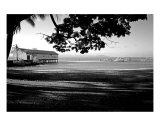 PO-06A Jetty Museum Photographic Print by Luke Kneale