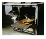 In The Oven Photographic Print by Art Gore