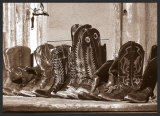 Resting Mounted Print by James O'mara