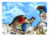 The Pheasants Giclee Print by Adena Macri