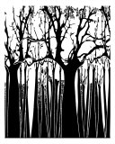 Black N White Trees Fotografisk tryk af Estela Lugo Black N White Trees Fotografisk tryk af Estela Lugo