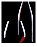 Pinot Noir Silouette Giclee Print by Jackie Johnston