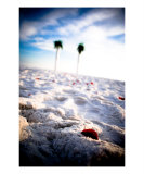 Wedding Day Photographic Print by Josh Williams