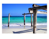 JE-04A Paradise Pillars Photographic Print by Luke Kneale