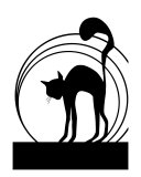 Chat Noir Photographic Print by Micheline Kanzy