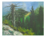 Der Wächter Giclée-Druck von Dean Vigyikan