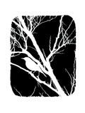 White Bird Giclee Print by Ricki Mountain