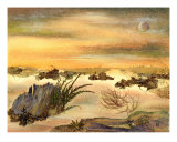 Desert - Pressed Flower Art reproduction procédé giclée par Shelley Xie