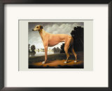 Greyhound on a Parkland Landscape Print by Christine Merrill