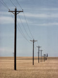 Une ligne téléphonique traverse une prairie dorée Photographie par George Grall