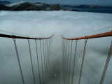 Cables of the Golden Gate Bridge Stand Above the Early Morning Fog Photographic Print by Randy Olson