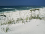 Les herbes qui poussent sur la dune tiennent le sable blanc en place le long d'un pan de plage Photographie par Raymond Gehman