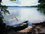 Des canards et un canoë sur le lac Kezar Photographie par Robin Siegel