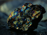 Close View of a Large Chunk of Peacock Coal Photographic Print by James P. Blair