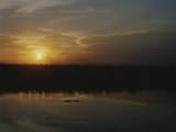 An Alligator in Silhouette Glides Through Wetlands at Sunset Photographic Print by Raul Touzon