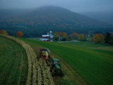Farmer Cuts Corn to Feed Cows on His Dairy Farm Photographie par Maria Stenzel