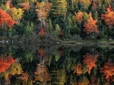 Autumn Foliage Reflected in a Canadian Lake Fotoprint van Raymond Gehman Autumn Foliage Reflected in a Canadian Lake Fotoprint van Raymond Gehman