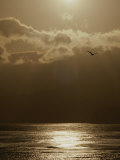 The Sun Sets over the Pacific Ocean off the Coast of Shell Beach Photographic Print by Marc Moritsch