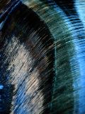 Close View of a Sheet of Water Pouring over a Dam Photographie par Raymond Gehman