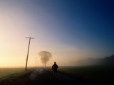 A Lone Jogger Runs Down a Rural Road in Early Morning Fog Photographic Print by Melissa Farlow