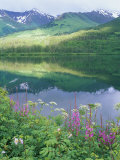 Lac Summit, rayons du soleil sur la forêt, coupe-feu, Chugach National Forest, Alaska Photographie par Rich Reid
