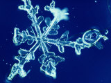 Close-up of a Snowflake Photographic Print by Robert Sisson