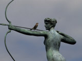 Mockingbird Atop a Bronze Sculpture of Diana by Augustus Saint-Gaudens Photographic Print by Raymond Gehman