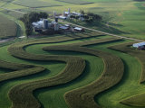 A Farm with Curved and Twisting Fields Fotografisk tryk af Paul Chesley A Farm with Curved and Twisting Fields Fotografisk tryk af Paul Chesley