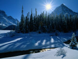 The Sun Descends Behind Cedar Trees and Mountains Photographie par Maria Stenzel