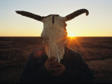 A Simpson Desert Local Hides His Face Behind a Cattle Skull Photographie