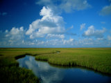 Marsh Canal in Oyster Bayou Fotografisk trykk av James P. Blair Marsh Canal in Oyster Bayou Fotografisk trykk av James P. Blair