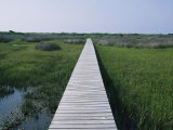 A Boardwalk Allows Visitors to Walk out into the Marsh Photographic Print by Stephen Alvarez