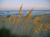 Scène de plage Photographie par Steve Winter