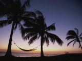 Twilight View of Beach with Hammock and Palms, Costa Rica Photographie par Michael Melford