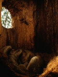Two Eastern Gray Squirrels Lie Snugly Asleep Fotografie-Druck von Chris Johns