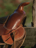 Western Riding Saddle Photographic Print by Michael Melford