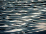 Sunlight Reflecting on Rippling Water Photographic Print by Todd Gipstein