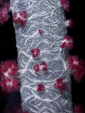 Close view of an intricate tree coral Lámina fotográfica por Wolcott Henry Close view of an intricate tree coral Lámina fotográfica por Wolcott Henry
