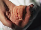 A Close View of a Mother Holding Her Newborn Babys Hand Photographie par Joel Sartore
