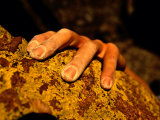 Close up of a Rock Climbers Hand Photographic Print by Bill Hatcher