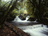 Water Flows over a Man-Made Waterfall Near Lake Quinault Photographic Print by Sam Abell