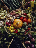 Various Vegetables in a Basket at the Tilth Festival in Seattle Photographic Print by Sam Abell