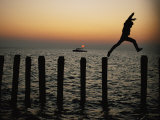 Bo Hoppin Leaps Between Pilings in the Chesapeake Bay off Great Fox Island, Virginia Photographie par Robert Madden