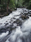 A Shallow Woodland Stream Tumbles over its Rocky Bed Photographie par Melissa Farlow