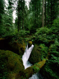 Woodland View of Glacier Creek Photographic Print by James P. Blair