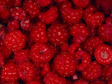 A Pile of Wild Raspberries Fotografisk trykk av Michael S. Quinton