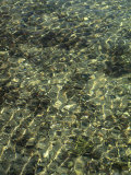 A Design in Water Caused by Ripples 写真プリント - クラリタ・バーガー・バーガー A Design in Water Caused by Ripples 写真プリント - クラリタ・バーガー・バーガー