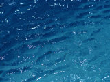 Close View of the Oceans Surface Photographic Print by Todd Gipstein