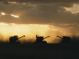Combines Silhouetted at Dusk Fotografie-Druck von David Boyer