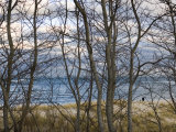 New England Massachusetts Beach Scene in Cape Cod, United States Photographie par Keenpress 